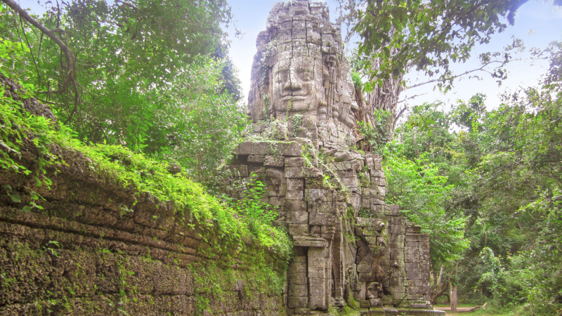 Image gallery
